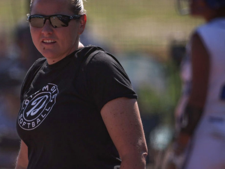 Diamond Club catcher behind home plate